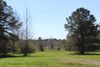 Leggett Drive photo